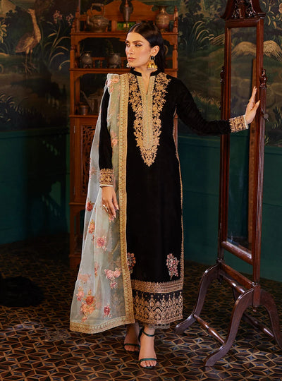 Deep Noir Black & Muted Gold: Embroidered Velvet Suit