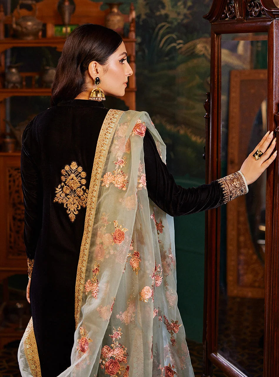 Deep Noir Black & Muted Gold: Embroidered Velvet Suit
