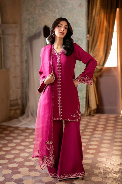Rich Fuchsia Berry & Silver: Embroidered Chiffon Suit