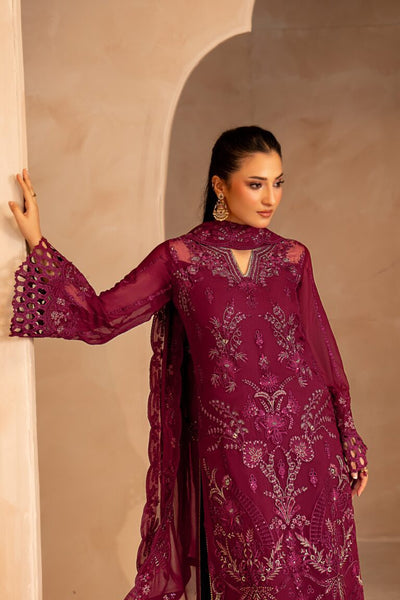 Rich Magenta Wine: Embroidered Chiffon Suit