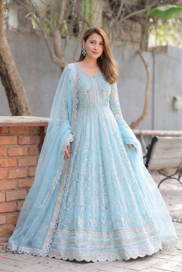 Serene Sky Blue & Silver Accent: Embroidered Net Maxi