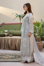 Soft Icy Grey & Silver Embroidered Organza Suit | Ready To Wear