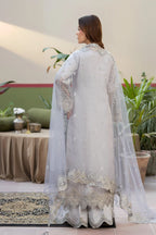 Soft Icy Grey & Silver Embroidered Organza Suit | Ready To Wear