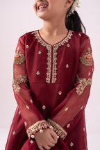 Deep Crimson & Metallic Gold: Embroidered Organza Suit