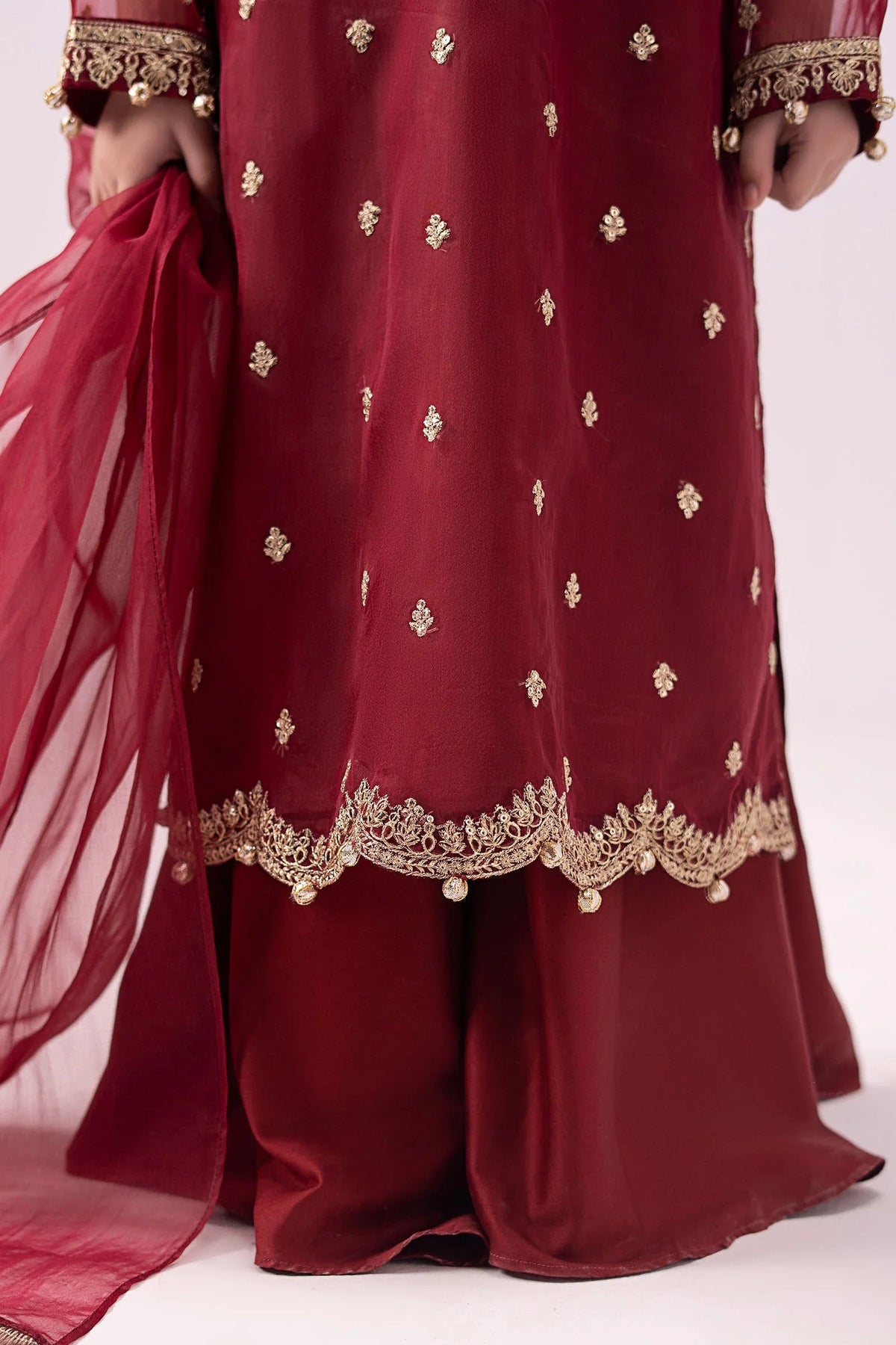 Deep Crimson & Metallic Gold: Embroidered Organza Suit