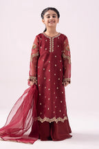 Deep Crimson & Metallic Gold: Embroidered Organza Suit
