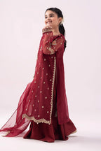 Deep Crimson & Metallic Gold: Embroidered Organza Suit