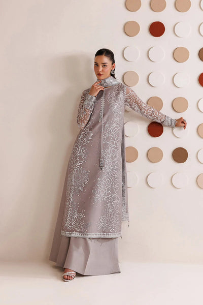 Dove Grey & Shimmering Silver: Embroidered Chiffon Suit