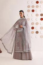 Dove Grey & Shimmering Silver: Embroidered Chiffon Suit