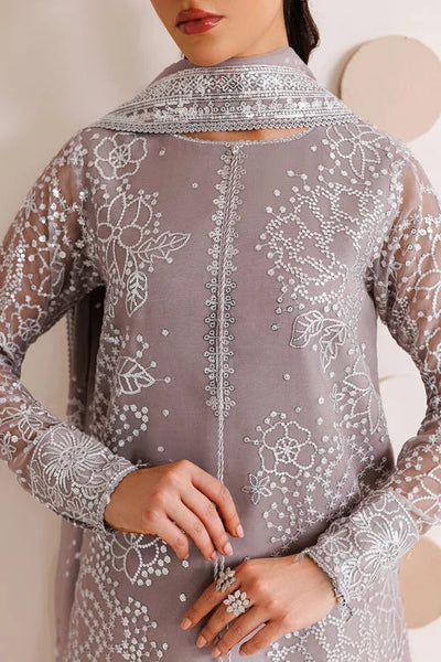 Dove Grey & Shimmering Silver: Embroidered Chiffon Suit