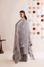 Dove Grey & Shimmering Silver: Embroidered Chiffon Suit