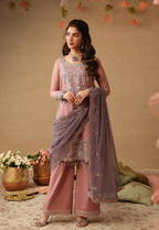 Mauve Pink & Metallic Silver: Embroidered Chiffon Suit