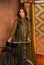 Deep Olive Green & Antique Gold: Embroidered Chiffon Suit