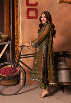 Deep Olive Green & Antique Gold: Embroidered Chiffon Suit