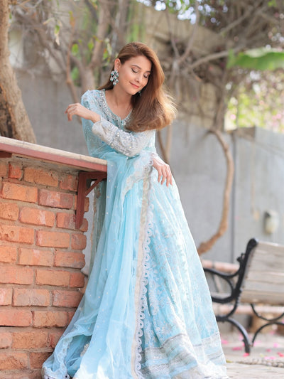 Serene Sky Blue & Silver Accent: Embroidered Net Maxi
